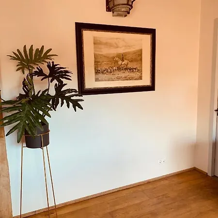 Duinappartementen Daire *
