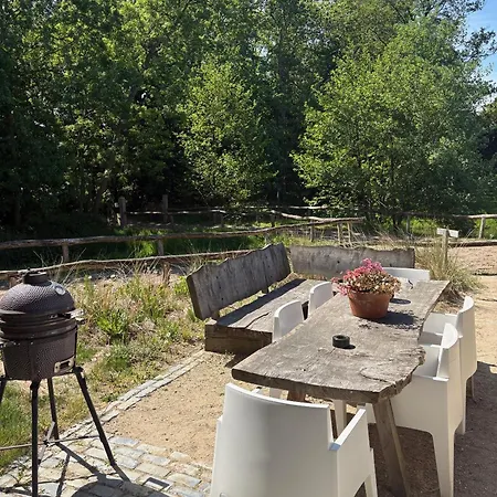 Duinappartementen Apartment