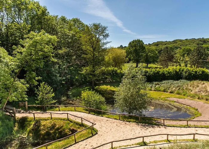 Appartement Duinappartementen Schoorl