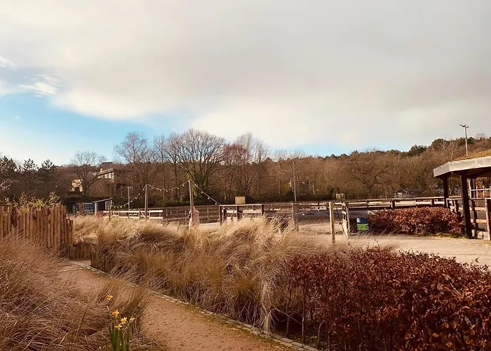 Duinappartementen شقة سكورل