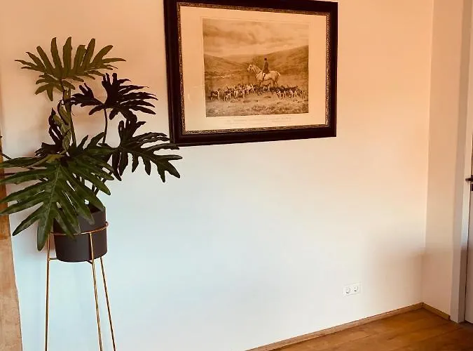 Duinappartementen شقة *